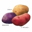 Calbee Hokkaido Imokomachi Premium Potato Fries 8 Bags Box 卡乐比 北海道三种土豆盐味薯条 8包 盒 For Cheap