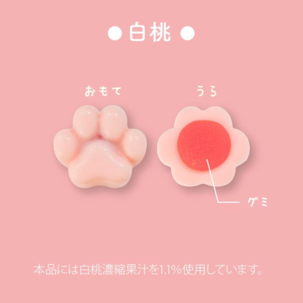 [Pre-Order] MATSUKAZEYA X Mofusand Gummy Chocolate Assortment Can 12pcs box [预售] 日本松風屋 X 鲨鱼猫软糖巧克力什锦罐 12枚 盒 For Sale