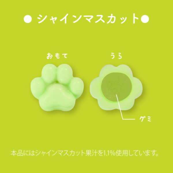 [Pre-Order] MATSUKAZEYA X Mofusand Gummy Chocolate Assortment Can 12pcs box [预售] 日本松風屋 X 鲨鱼猫软糖巧克力什锦罐 12枚 盒 For Sale