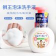 [ 2 FOR $9 ] LION Anti-Bacterial Foam Hand Soap (Fruity Scent) 250ml 狮王 滋润抗菌泡沫洗手液 (果香型) For Discount