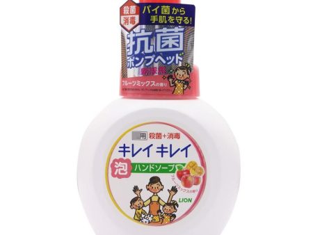 [ 2 FOR $9 ] LION Anti-Bacterial Foam Hand Soap (Fruity Scent) 250ml 狮王 滋润抗菌泡沫洗手液 (果香型) For Discount