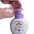 [ 2 FOR $9 ] LION Anti-Bacterial Foam Hand Soap (Floral Scent) 250ml  狮王 滋润抗菌泡沫洗手液 (花香型) Supply