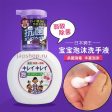 [ 2 FOR $9 ] LION Anti-Bacterial Foam Hand Soap (Floral Scent) 250ml  狮王 滋润抗菌泡沫洗手液 (花香型) Supply