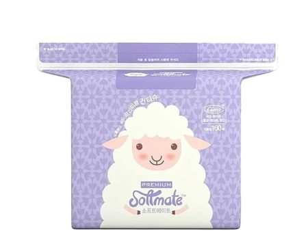 Softmate Premium Nature Dry Tissue 160 Sheets Supply