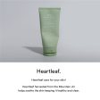 Abib Foam Cleanser Heartleaf Foam （2 Sizes) Supply