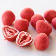 [PRE-ORDER] LeTAO Petit Chocolat Strawberry Strawberry Truffle [预售] 小樽洋果子 草莓夹心巧克力 50g For Cheap