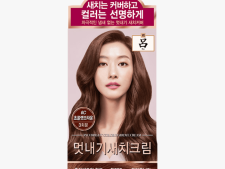 Ryo Bright Color Hair Dye Cream (3 Colors) Supply